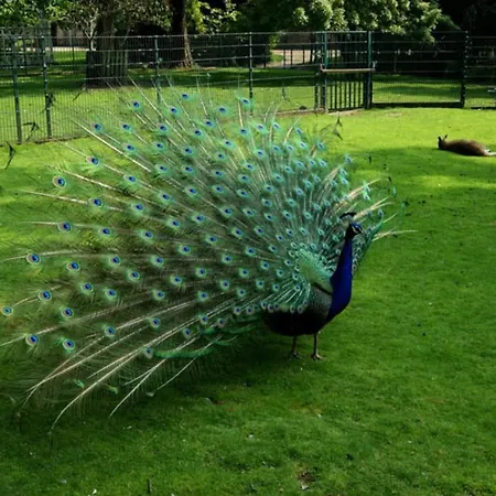 Hotel Le Coty Confortable Moderne Lumineux