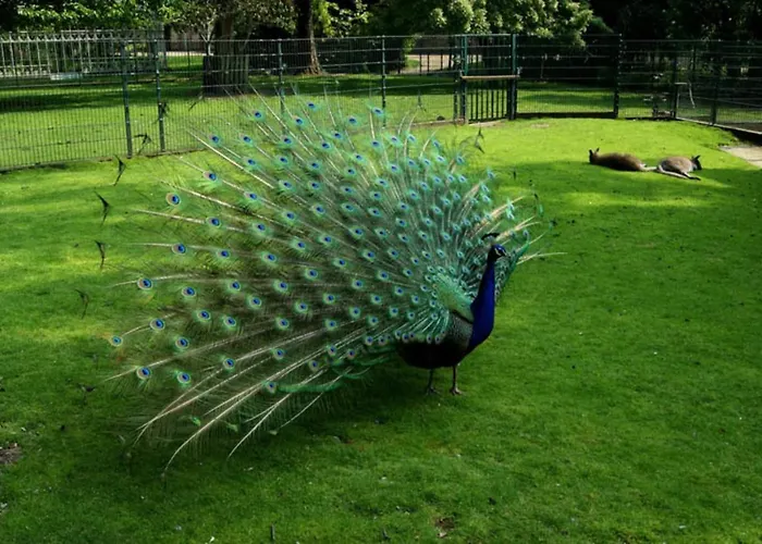 Hotel Le Coty Confortable Moderne Lumineux